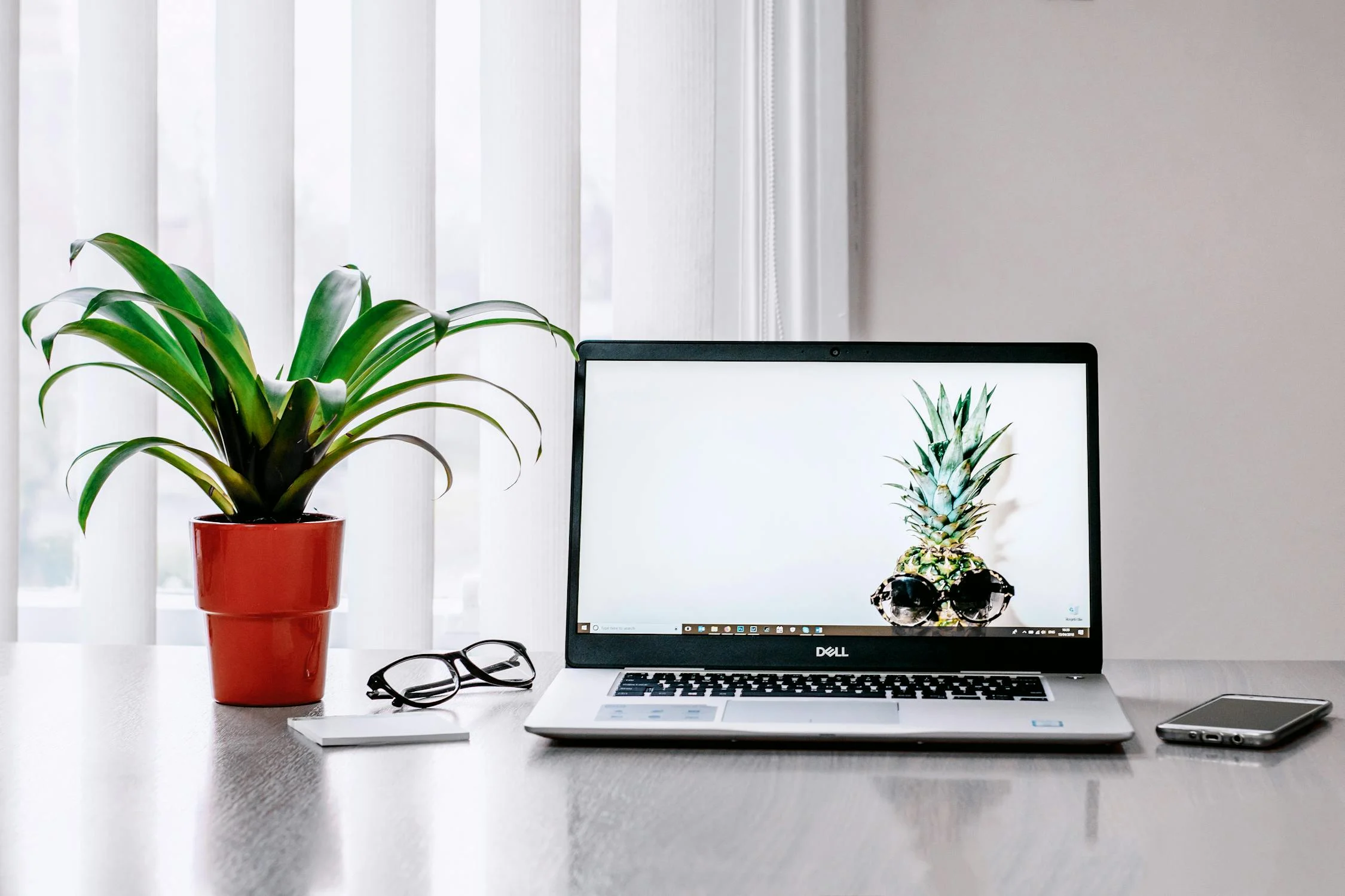 İzmir SEO Uzmanı