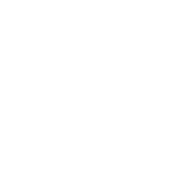 Solofor Logo